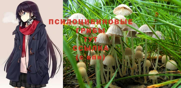 эйфоретик Кодинск