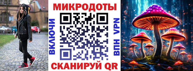 что такое   mega   Псилоцибиновые грибы мицелий  Ковдор 